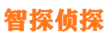 黑河市私家侦探